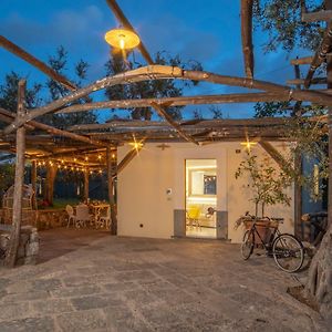 Casa Holiday